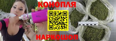спайс Будённовск