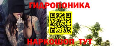 спайс Будённовск
